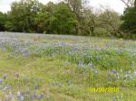 Wildflower cycling tour in Llano County TX