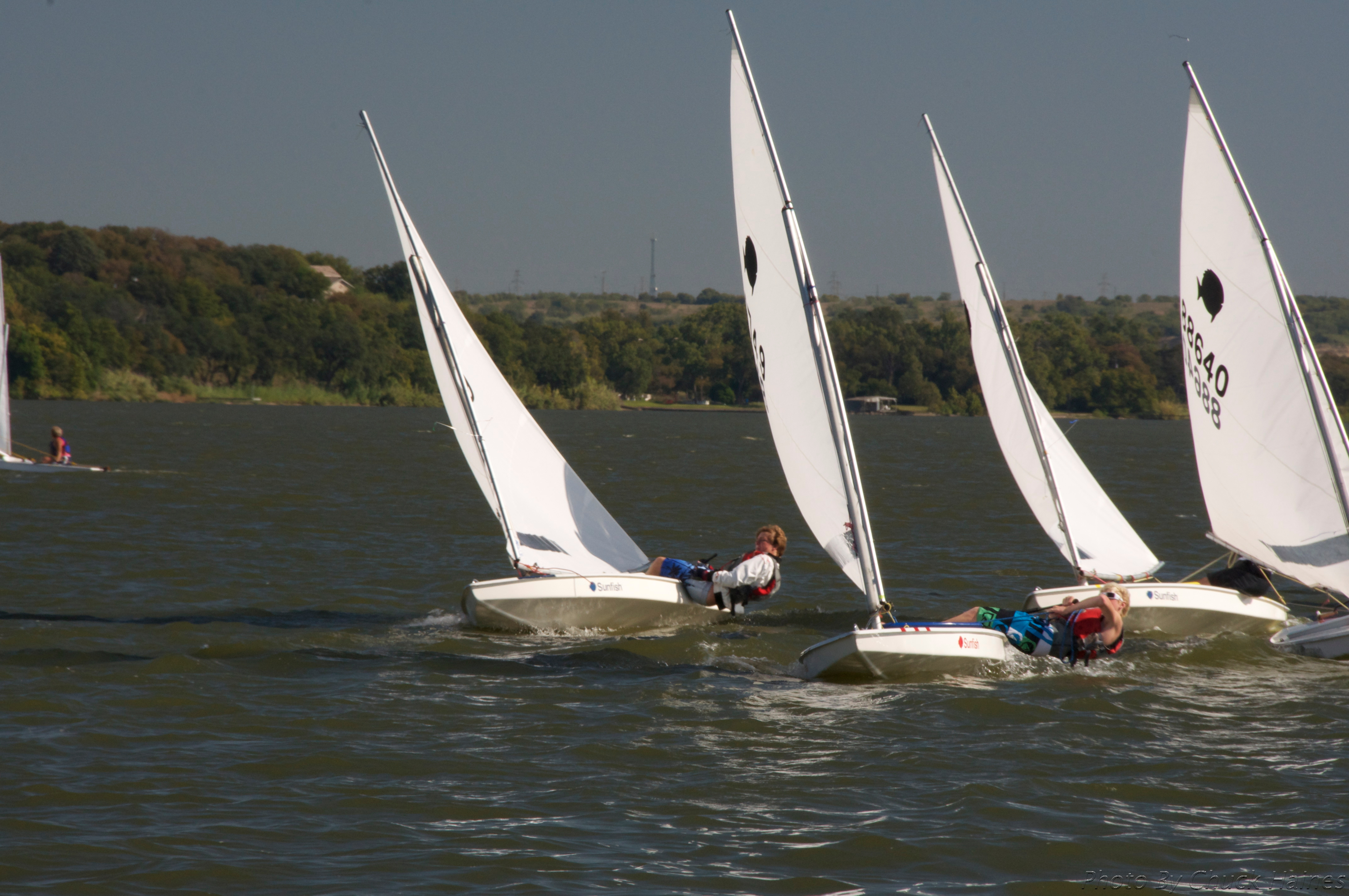 Sunfish Sailboat Racing Sailing – the answer to the question, “why 